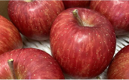 7-011-006　サトケンさんの完熟りんご早生ふじ「昂林」3kg（12