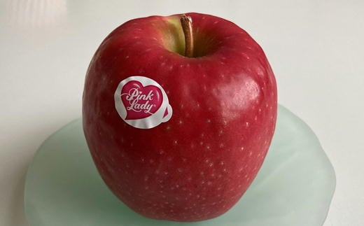 7-012-023　千果園のりんご（ピンクレディ） 約3kg【2026年2月