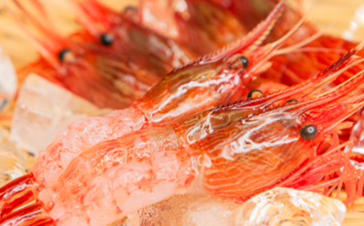 7-012-006　しまえび 1kg（500g×2）