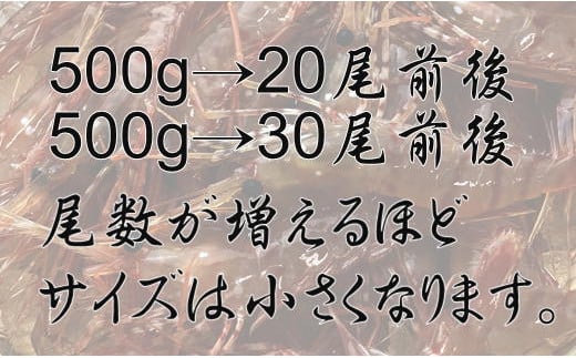 7-008-005　ボタンエビ 500g（30尾前後）