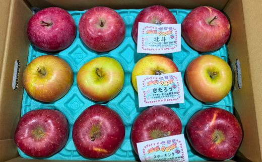 7-005-011　冨野果樹園のおまかせりんごセット 2.5kg【11月発送