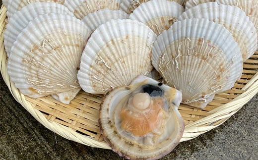 7-012-015　殻付き半成貝（ベビー貝）2kg（約30枚）【12月発送