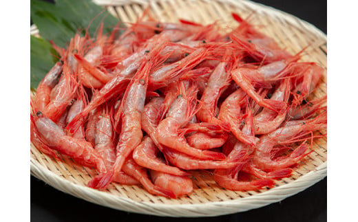 7-012-001　ましけの甘えび 1kg