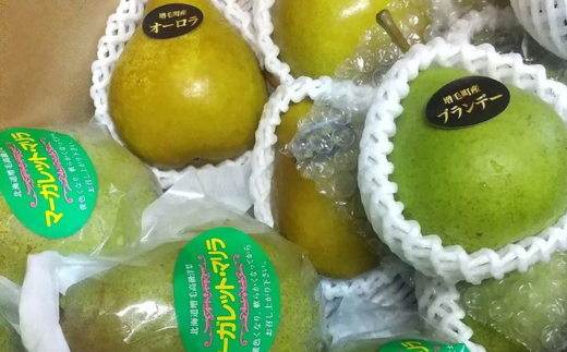 7-014-014　山口さんちの洋梨 3種詰め合わせ 5kg【9月下旬～発