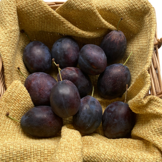 7-015-014　サトケンさんのプルーン「ベイラー」1kg 