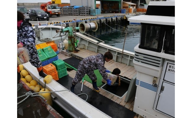 7-010-013　漁師の力酒飲み比べセット（旨口編）