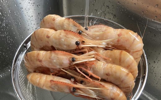 7-028-003　冷凍ボタンエビ 1kg（34尾～46尾入）