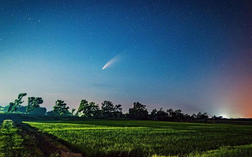 7-028-007　新米・増毛町産米えみまる・ななつぼしセット 各5