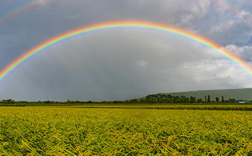 7-014-023　新米・増毛町産米ななつぼし 5kg（10月～発送）【