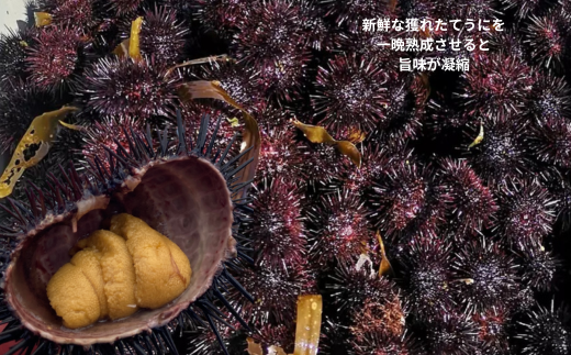 7-016-002　ましけの塩うに（バフン・ノナ）セット