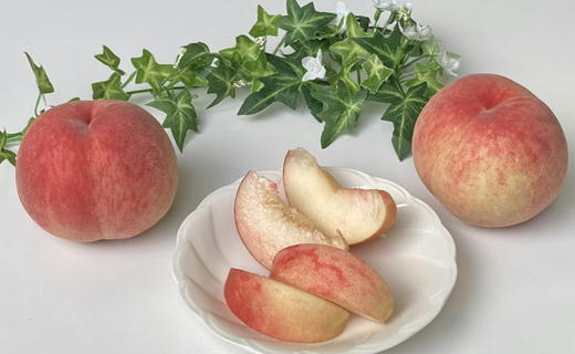 7-014-016　山口さんちの桃あかつき 10玉前後（3.5kg前後）