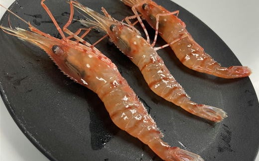 7-008-005　ボタンエビ 500g（30尾前後）