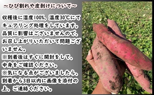 7-010-026　さつまいも（シルクスイート）5kg【マルゼン佐藤