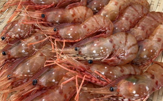 7-024-013　冷凍甘えび・ボタンエビセット 各500g