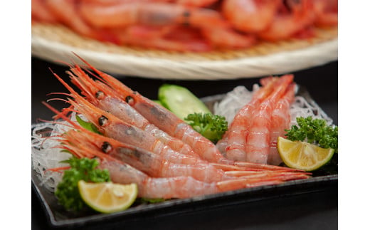 7-012-001　ましけの甘えび 1kg