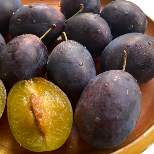 7-015-014　サトケンさんのプルーン「ベイラー」1kg 