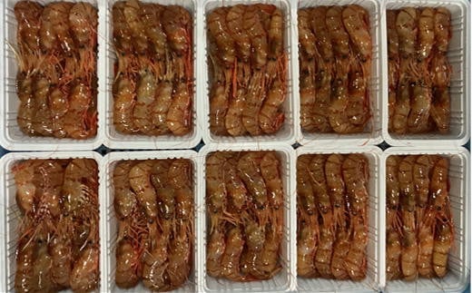 7-022-002　冷凍ボタンエビ 900g（39尾～54尾）