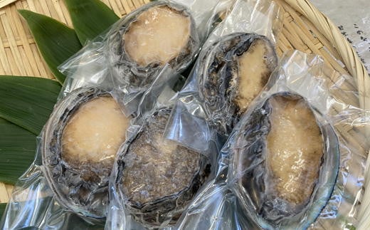 7-024-002　北海道増毛産天然蝦夷あわび500g（6～8玉）【冷凍
