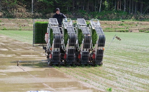 7-080-002　新米・増毛町産ななつぼし 5kg×6ヶ月（10月～3月）