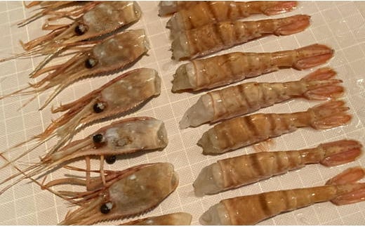 7-010-001　ましけのボタンエビ 700g（350g×2）