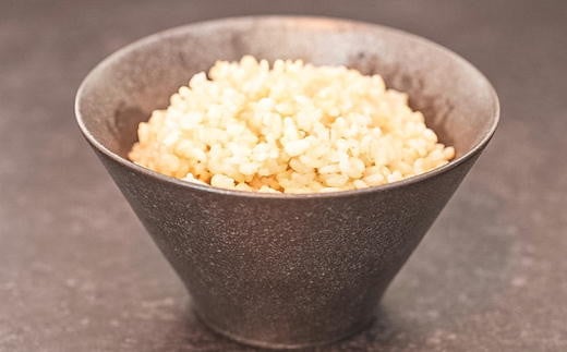 7-016-024　玄米パック（ゆめぴりか）150g×10【成澤ライスファ