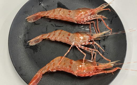 7-013-006　柔らか蒸しヤナギタコとボタンエビ 各500g