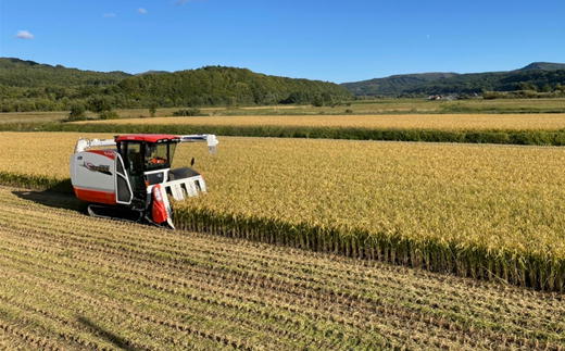 7-040-010　新米・増毛町産特別栽培米 ゆめぴりか 10kg（10月～発送）【前野ファーム】