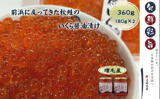 7-017-003　いくら醤油漬け 360g（180g×2本）