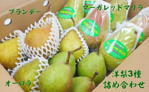 7-014-014　山口さんちの洋梨 3種詰め合わせ 5kg【9月下旬～発