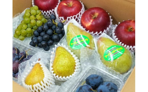 7-014-015　山口さんちの旬なフルーツ詰合わせ【10月～発送】