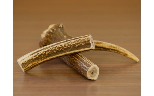 7-012-045　鹿の角・愛犬デンタルおもちゃ（大）