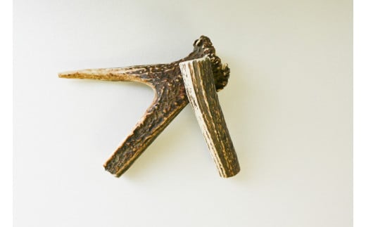 7-005-004　鹿の角・愛犬デンタルおもちゃ（小）