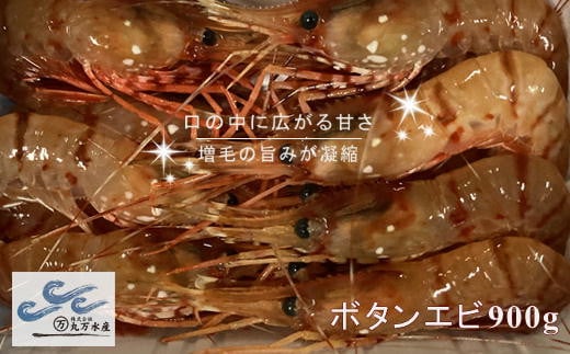7-022-002　冷凍ボタンエビ 900g（39尾～54尾）