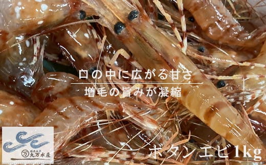 7-028-003　冷凍ボタンエビ 1kg（34尾～46尾入）