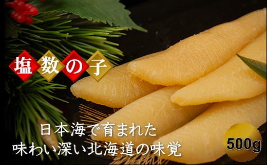 7-016-005　北海道産塩数の子 500g（10本～14本入）【10月～発送