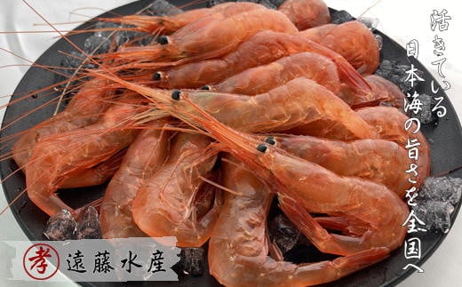7-012-008　甘えび 1kg（80尾前後）