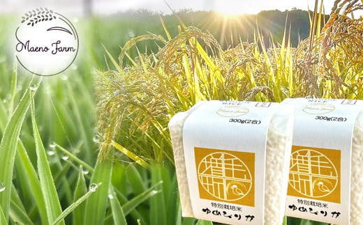 7-008-011　新米・真空パックキューブ米＜無洗米＞ ゆめぴり