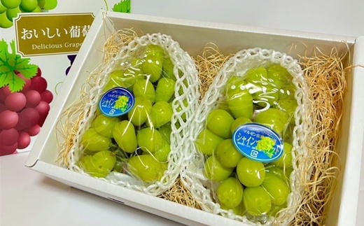 7-020-018　シャインマスカット 1.4kg【マルゼン佐藤果樹園】