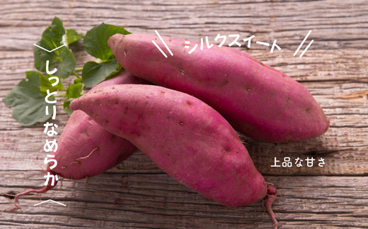7-005-008　さつまいも（シルクスイート）2kg【マルゼン佐藤