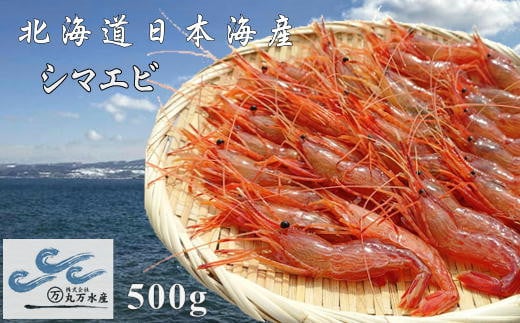 7-010-034　冷凍しまえび 500g（約40尾）