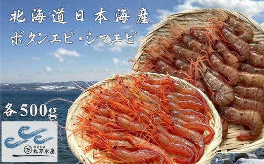 7-024-014　冷凍ボタンエビ・しまえびセット 各500g