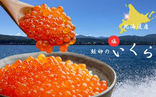 7-012-054　【北海道産】塩いくら 100g入