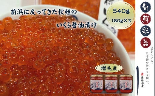 7-026-002　いくら醤油漬け 540g（180g×3本）
