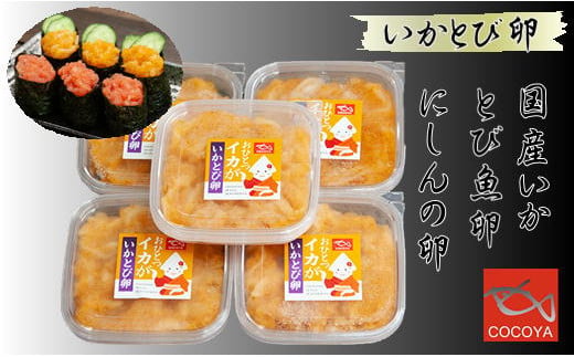 7-008-001　イカトビ卵