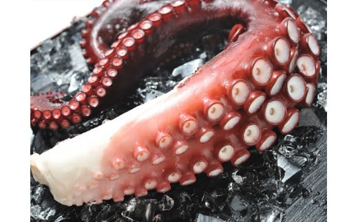 7-011-001　柔らか蒸したこ足 2本（700～800g）