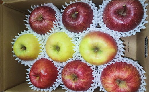 7-010-020　秋香園 大玉りんご 3kg【10月～2月発送】