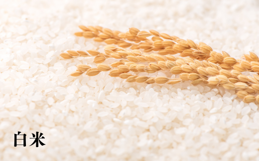 7-090-001　新米・増毛町産ななつぼし 5kg×6ヶ月（10月～3月）