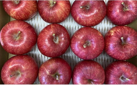 7-011-006　サトケンさんの完熟りんご早生ふじ「昂林」3kg（12