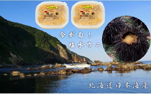 7-016-001　塩水うに 200g（キタムラサキウニ）8月6日受付終了