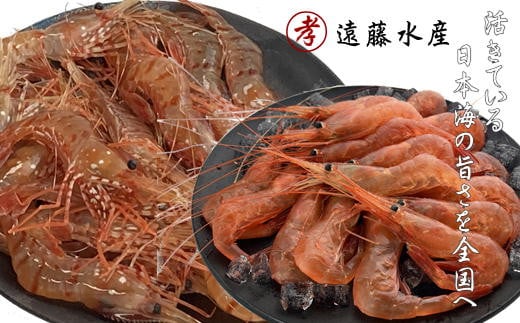 7-018-007　甘えび・ボタンエビセット 各500g